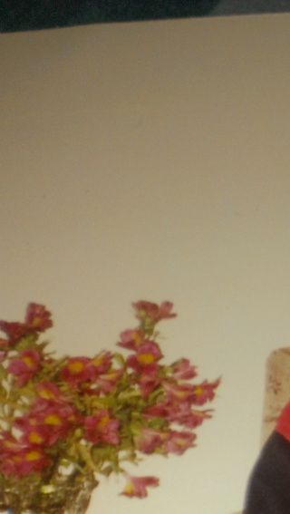 A flower withered too soon........................