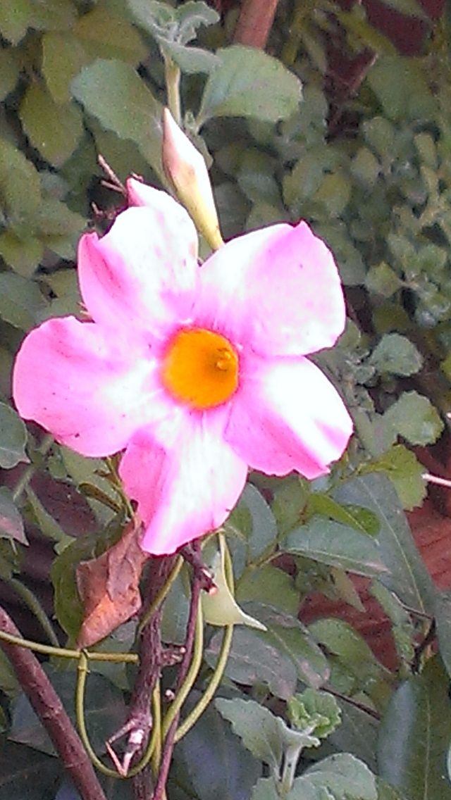 Beauty in unexpected places!!!